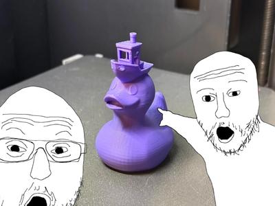 DUCK WITH A BENCHY ON ITS HEAD