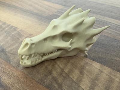 Dragon skull