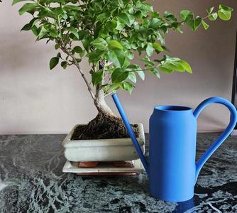 Small and Nice Watering Can 