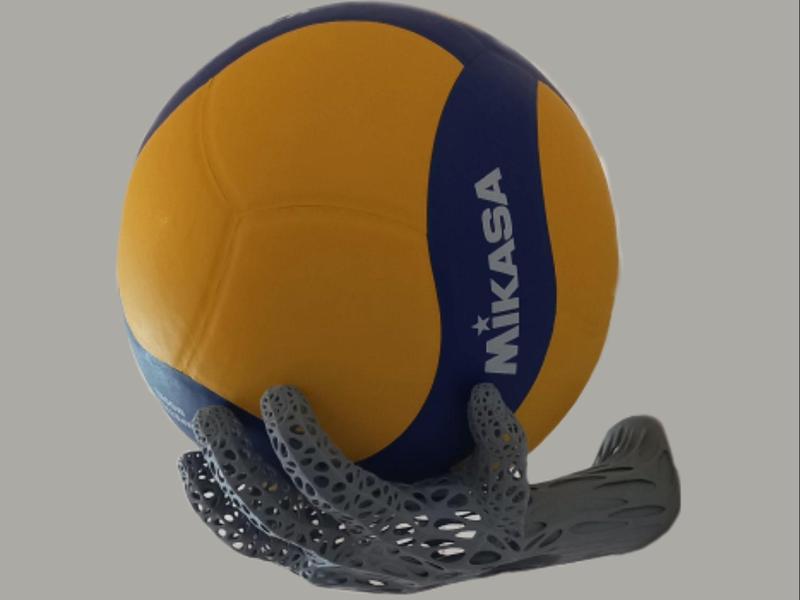 Wall mount ball holder