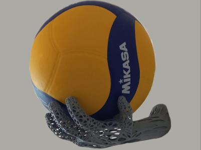 Wall mount ball holder