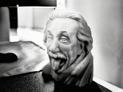 Einstein Head Sculpture