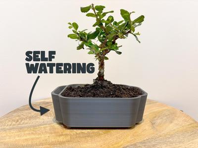 Self-watering Bonsai Planter Pot V3