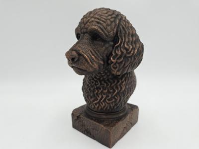 LABRADOODLE BUST