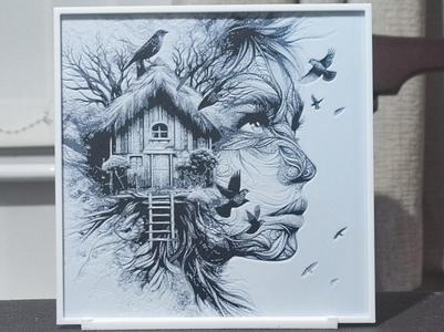 Double Exposure The Bird House - HueForge 2 Color