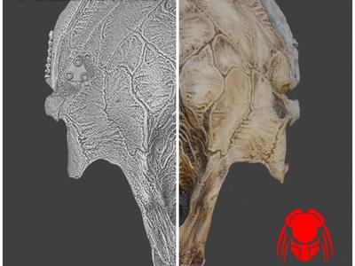 Predator Immortal mask