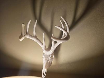 Jordan Buck 2.0 - Deer Skull