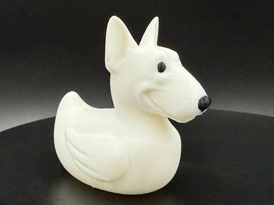 English Bull Terrier Duck