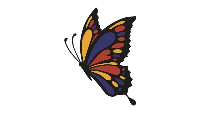 Butterfly 10
