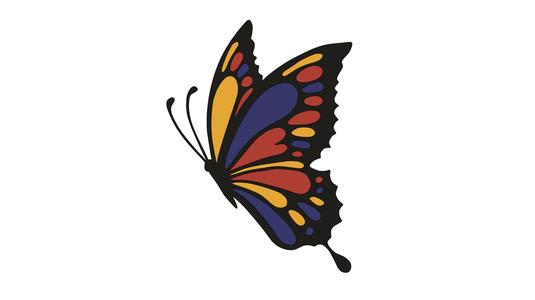 Butterfly 10