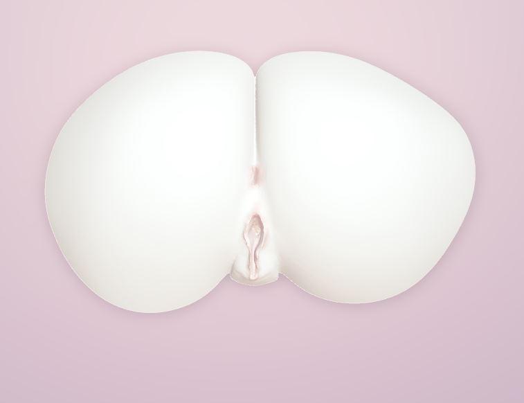 Large Labia - Sculpted 3D model of Vagina