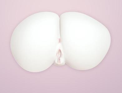 Large Labia - Sculpted 3D model of Vagina