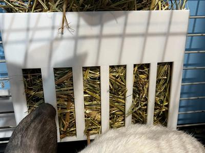 Hay rack for rabbits - hay feeder