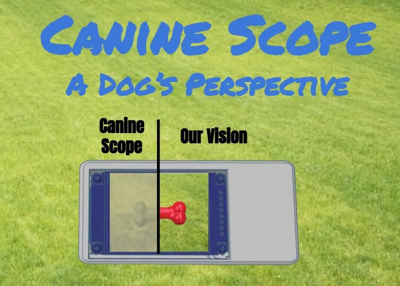 CanineScope   