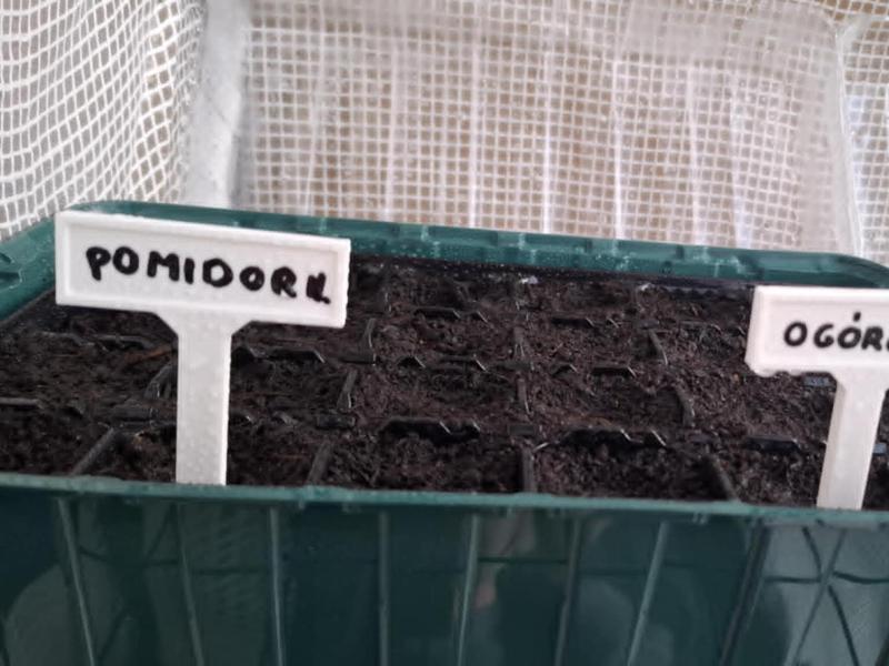 plant name tag 