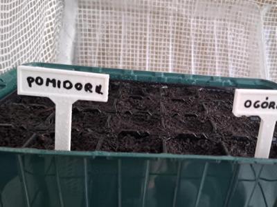 plant name tag 