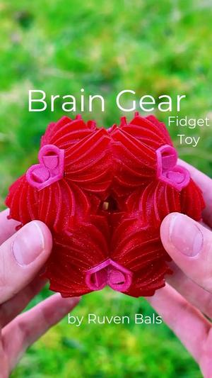 Brain Gear Fidget Toy