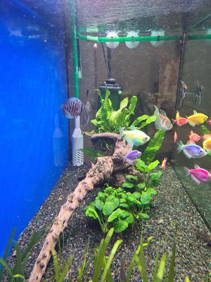 Aquarium Filter Strainer 12mm