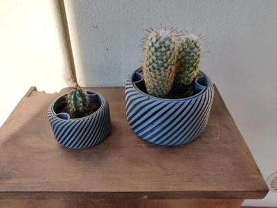Helical Self Watering Pots with draining holes