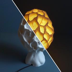 Mushroom lamp “Morchella Esculenta”