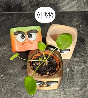 Grumpy buddy plant pot
