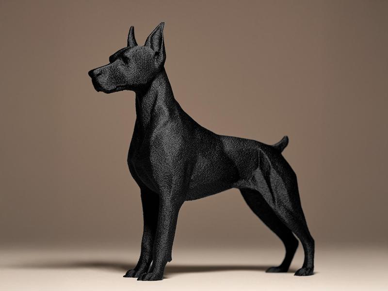 Doberman Decor
