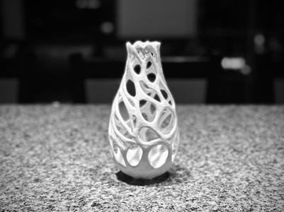 Organic Lattice Vase