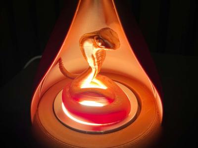 year lamp - snake 