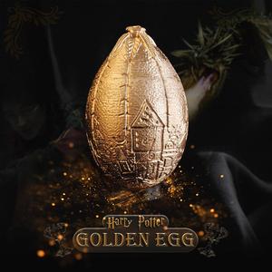 Golden Egg - Harry Potter Triwizard Tournament - Dragon Egg