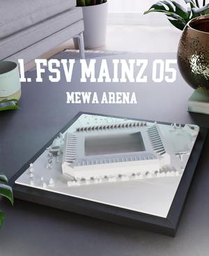 1. FSV Mainz 05 - Mewa Arena