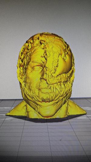 Bust tete venom   