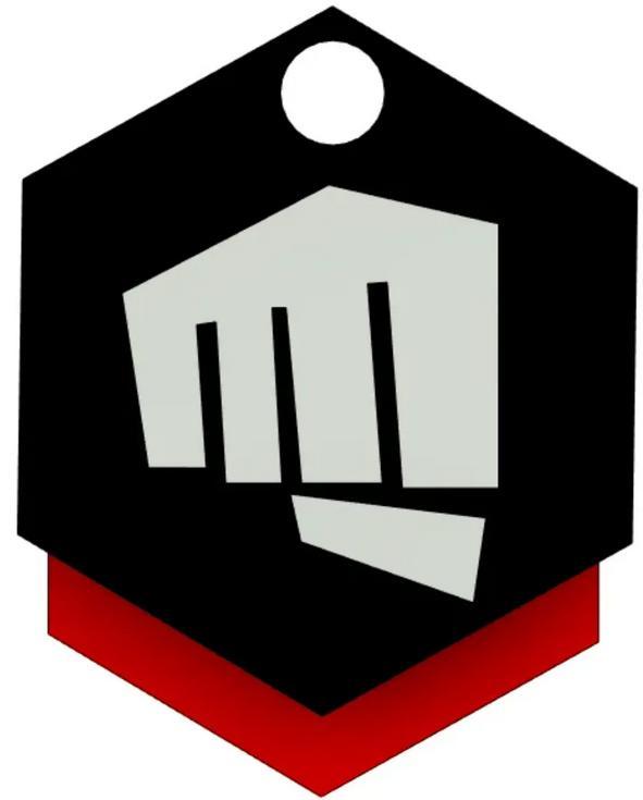 Riot Valorant Key Chain