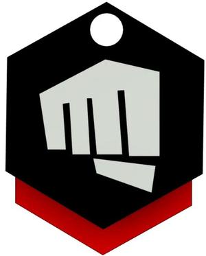 Riot Valorant Key Chain