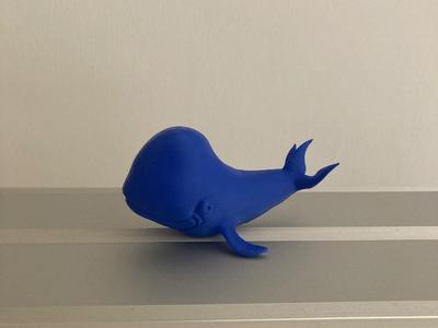 Little whale