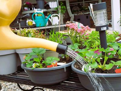 Watering can attachment for gentle watering