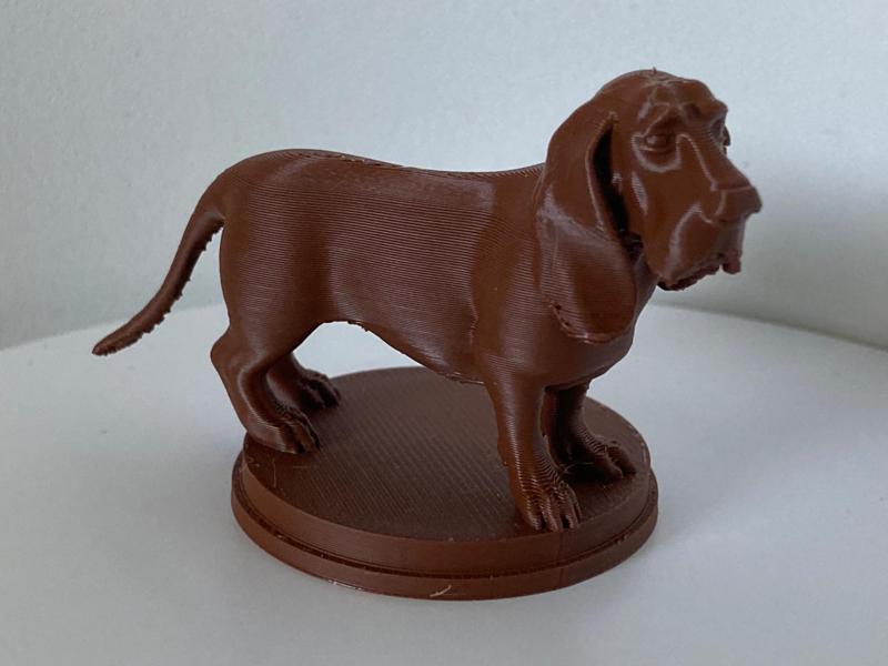 Basset hound