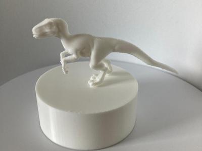 Raptor