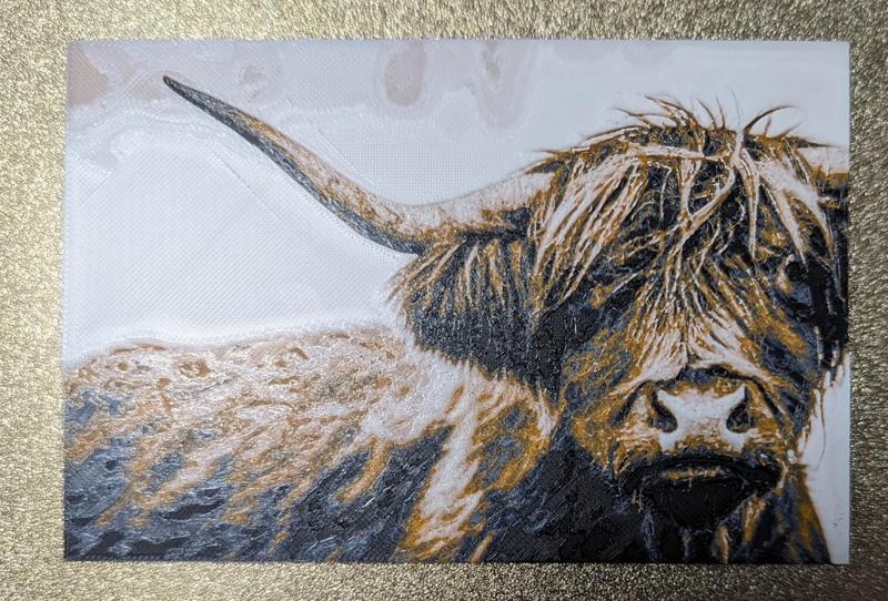 Large Highland Cow 240X160 Hueforge