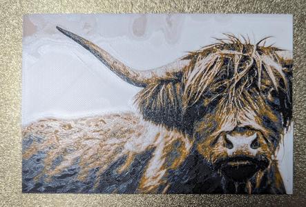 Large Highland Cow 240X160 Hueforge