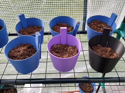 Easy Transplant Planter Pot