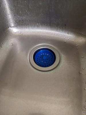 Drain strainer