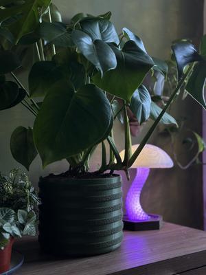 Large 8'' Self-Watering Plant Pot System – Modular 3D Printed Design