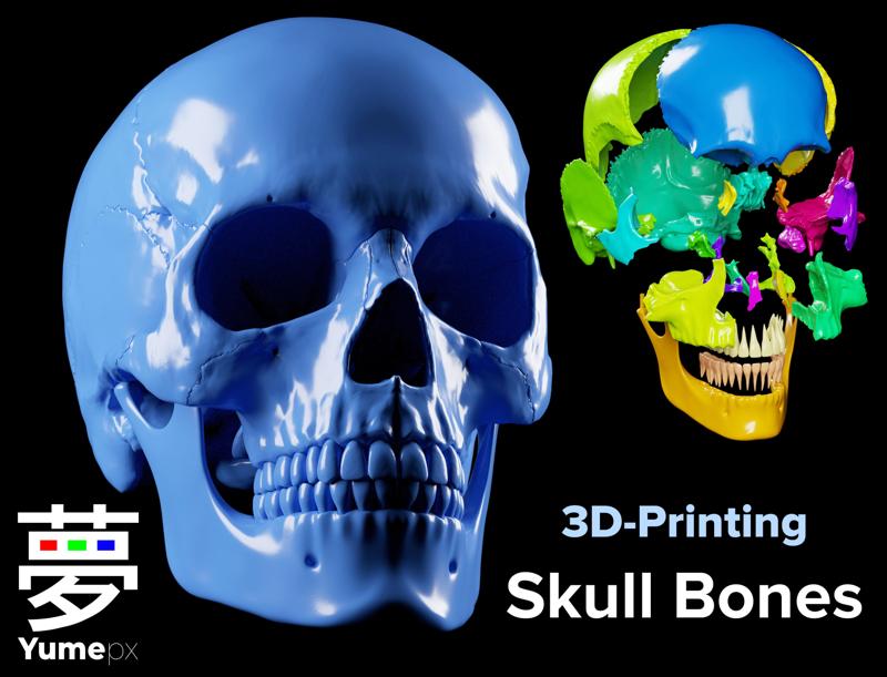 Skull Bones - 3D Printing