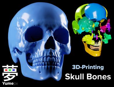 Skull Bones - 3D Printing