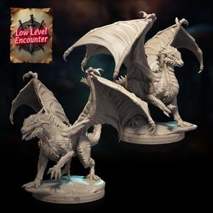 Black Dragon Wyrmlings