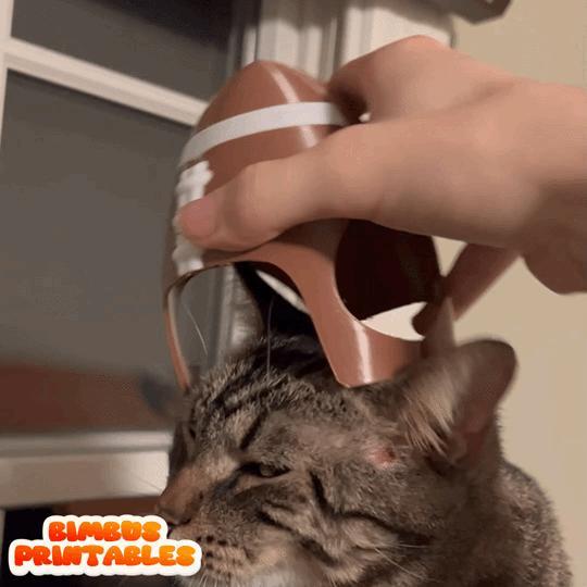 Football Cat Helmet 🏈🏈