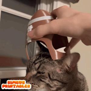 Football Cat Helmet 🏈🏈