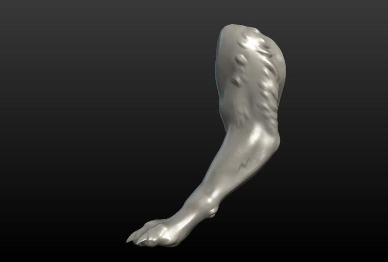 Wolf Paw