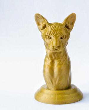 Sphynx Cat