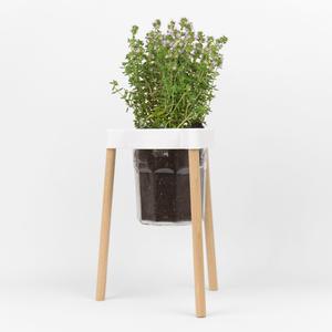 Tripod for planting in a jam pot